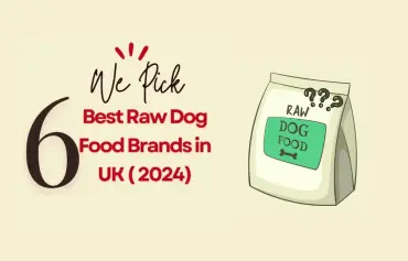 6 Best Raw Dog Food UK- Brands Comparison & Buying Guide